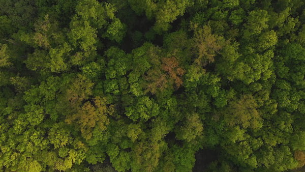 Home Page Sustainable